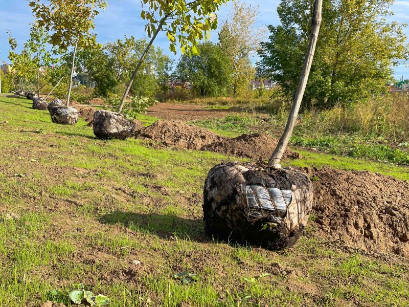 Measuring & Fit Tips